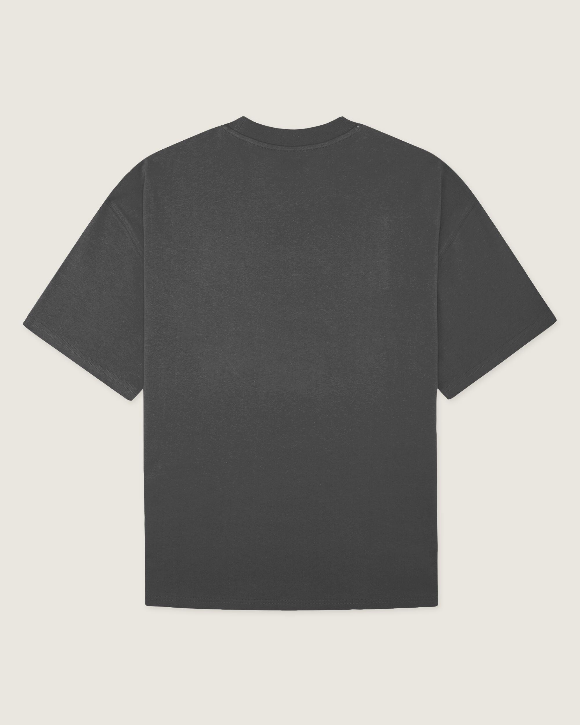Woodbird WBBeam Base Tee T-Shirts Asphalt