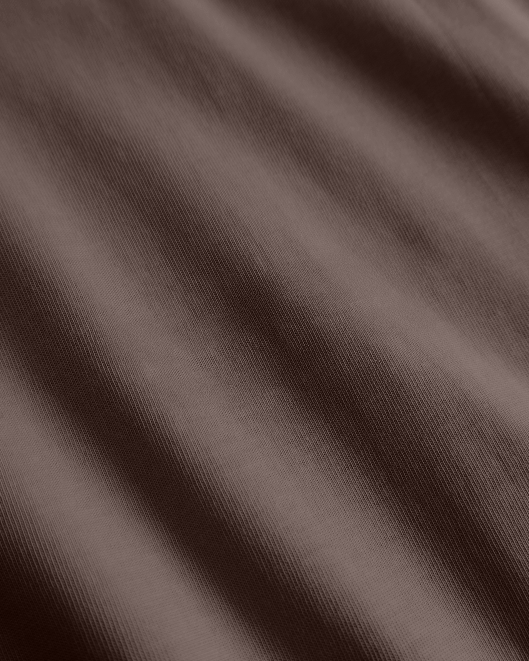 Woodbird WBBaine Base tee T-Shirts Brown