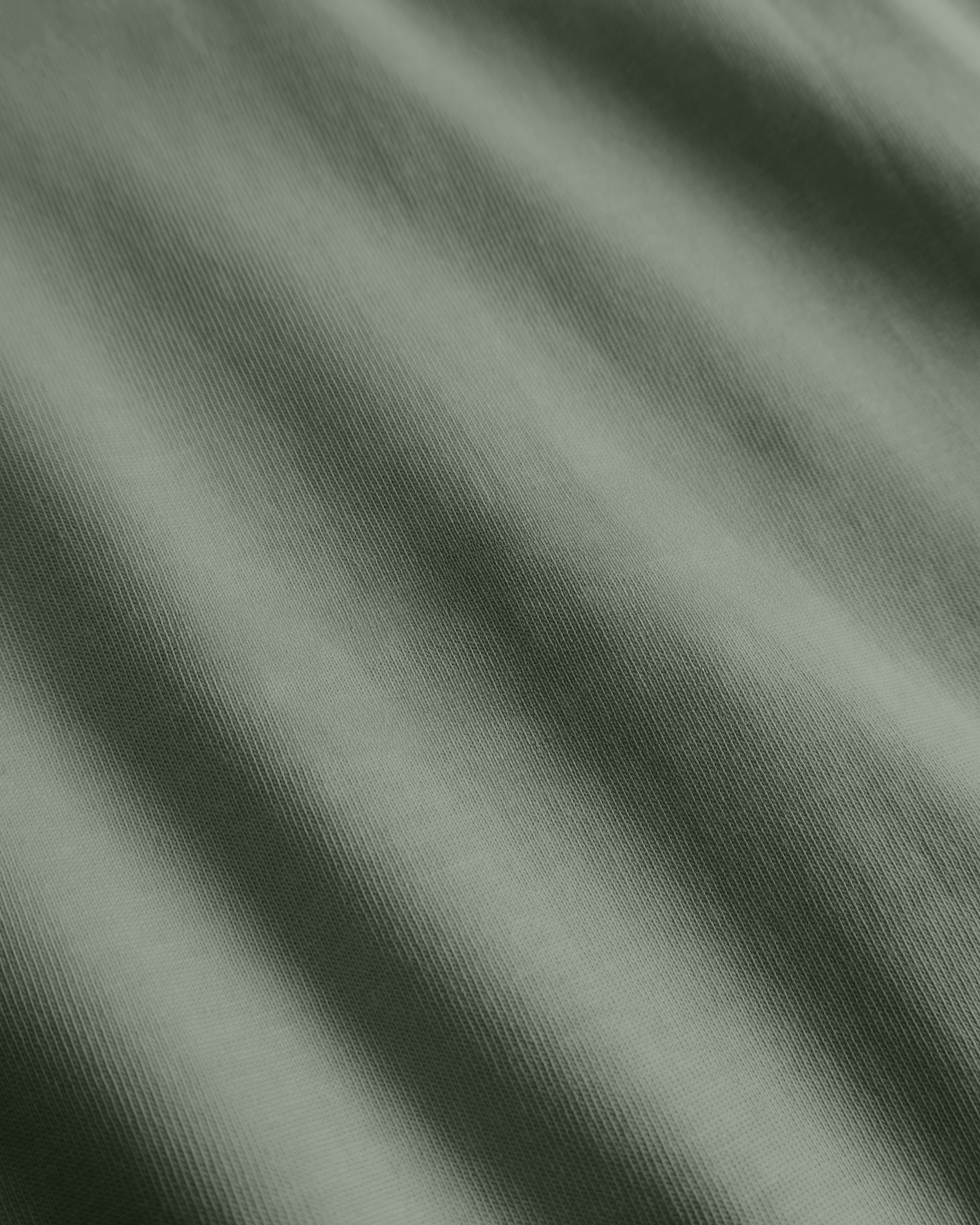 Woodbird WBBaine Base tee T-Shirts Grey-Green