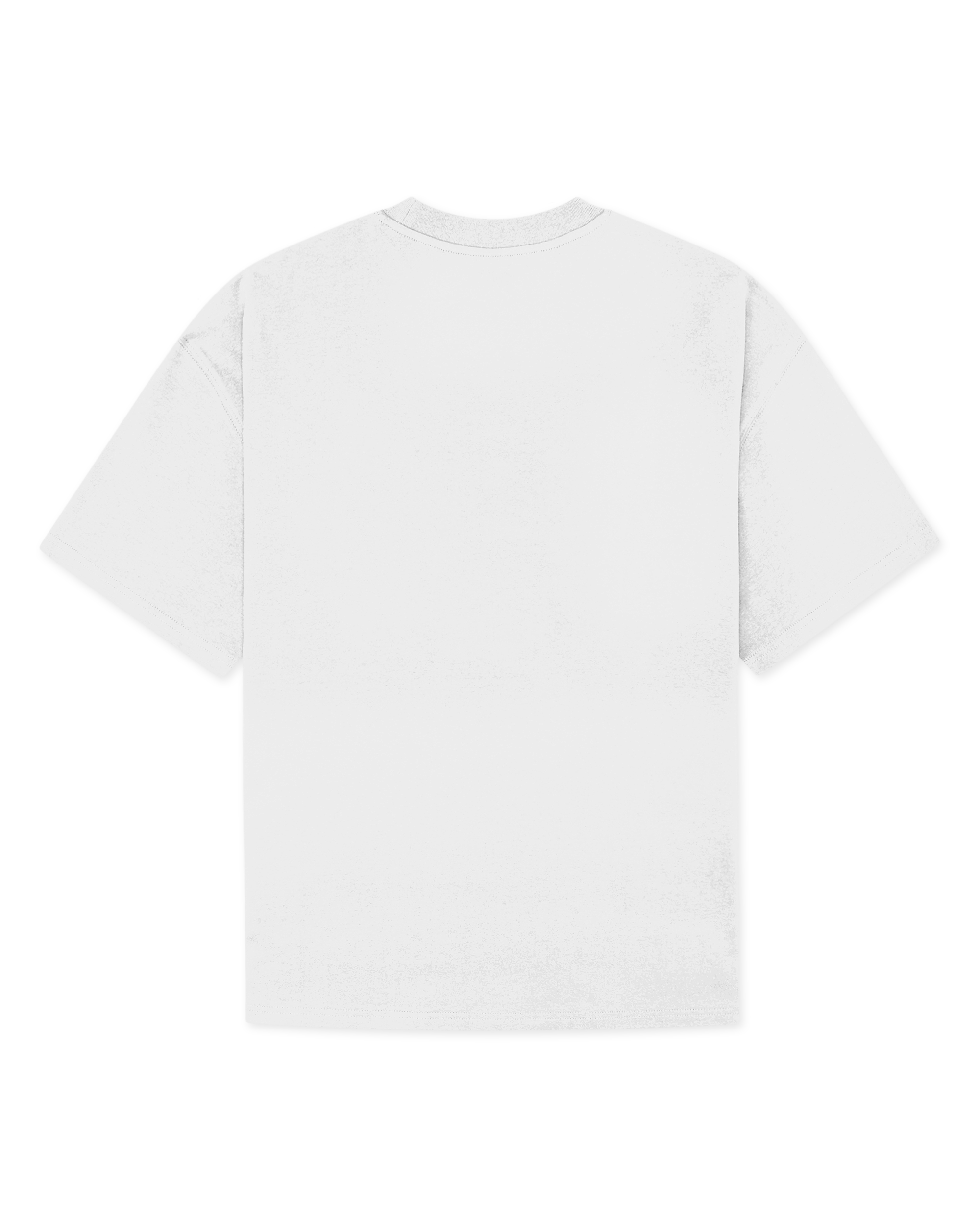 Woodbird WBBeam Base Tee T-Shirts White