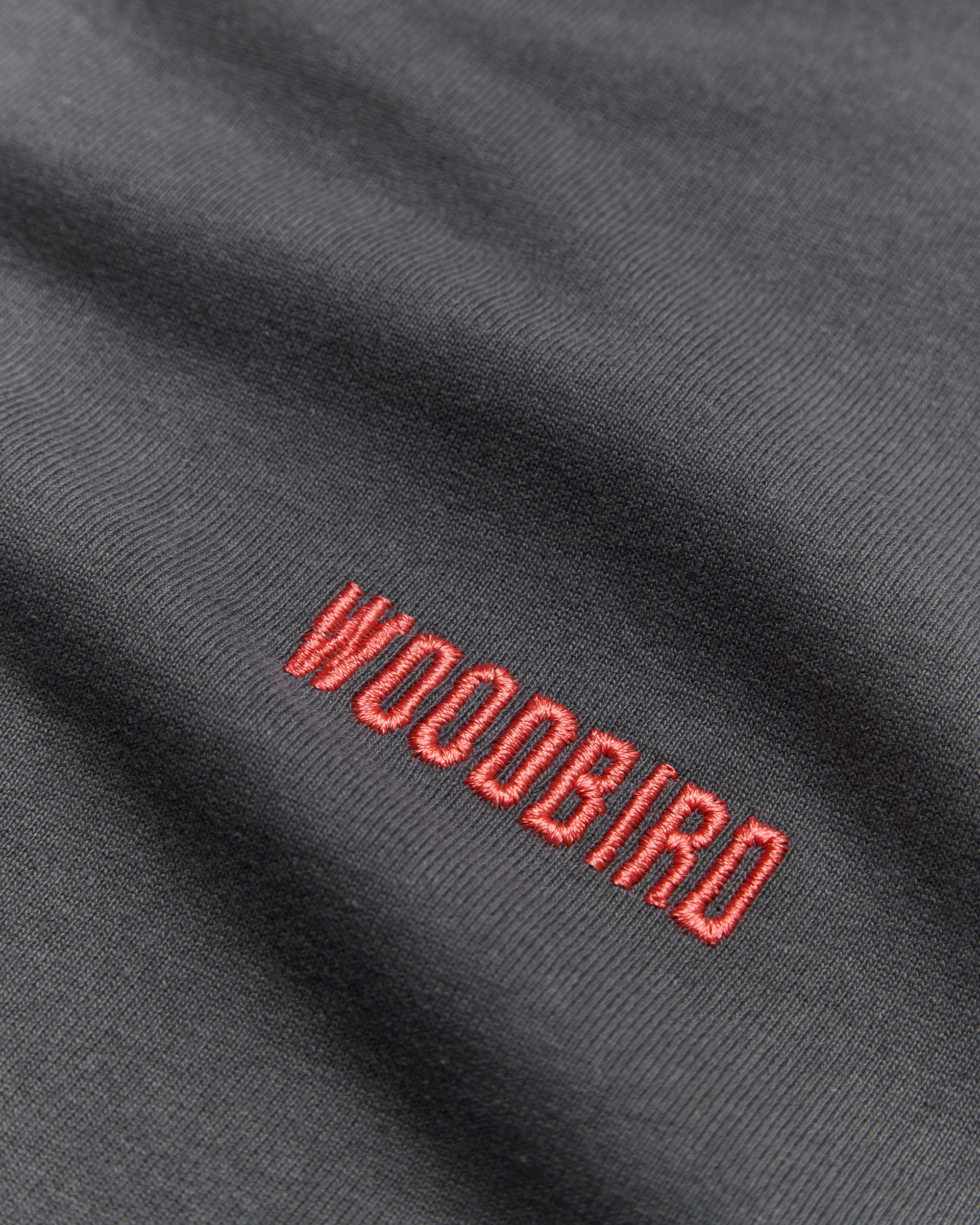 Woodbird WBJoes Mono LS Tee T-Shirts Slate Blue